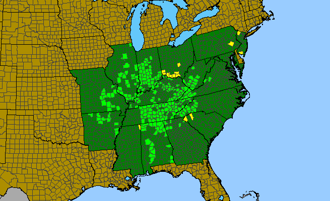The range of Phacelia bipinnatifida